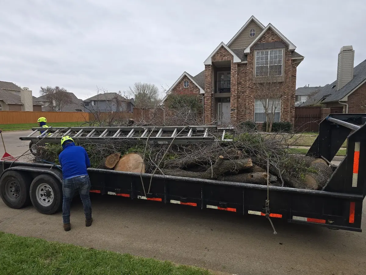 Expert Tree Fertilization with proper safety equipment in Herod